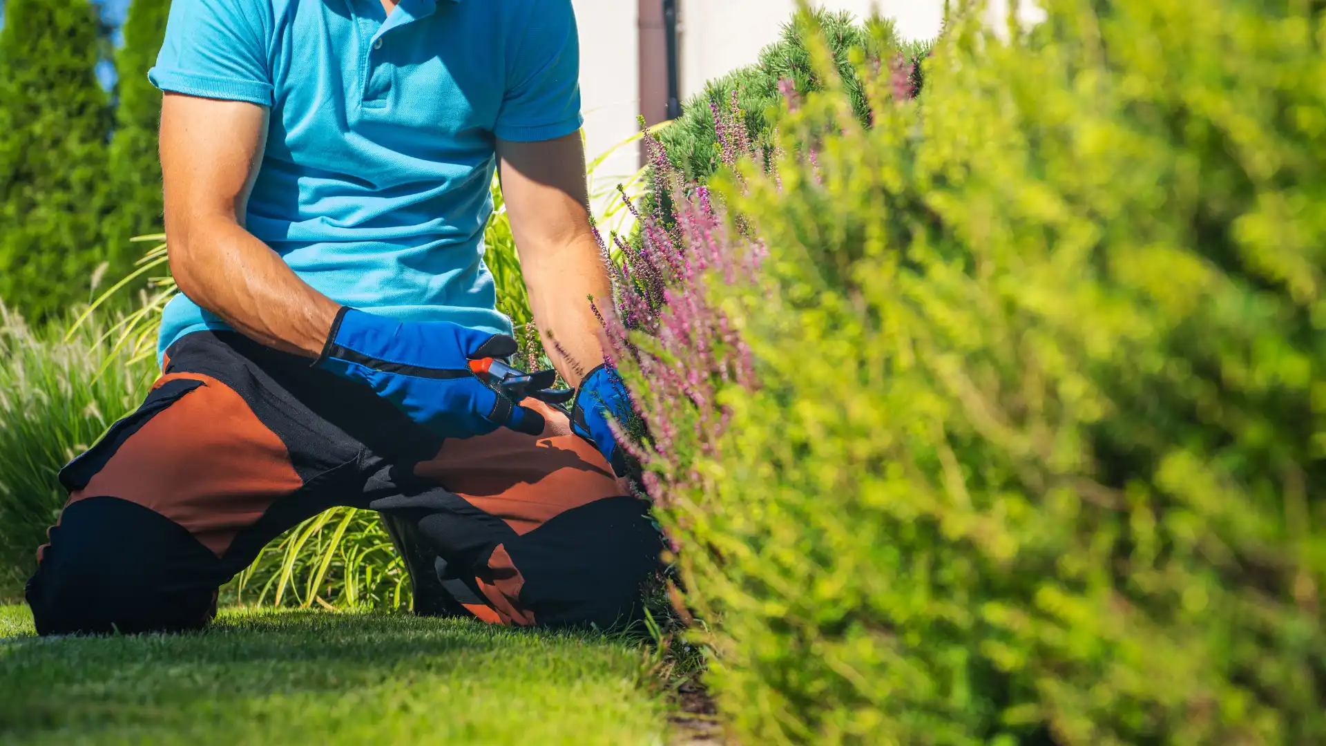 Landscaping